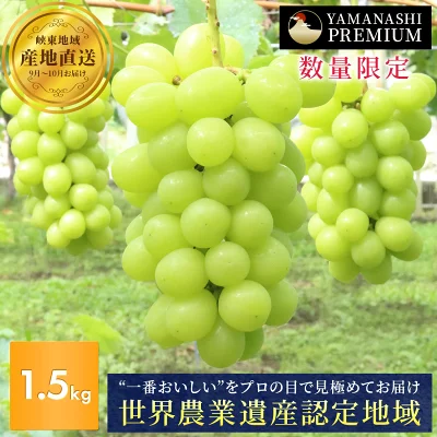 Shine-Muscat-1.5kg-Grapeleaf